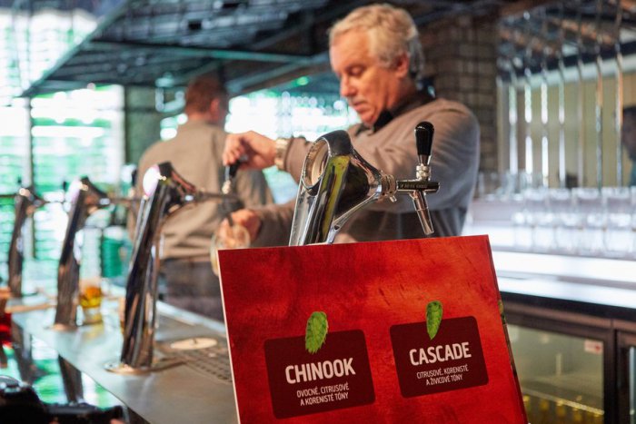 Ilustračný obrázok k článku Milovníci piva, tešte sa! Krčmári z Nitrianskeho kraja vyberali jarný špeciál