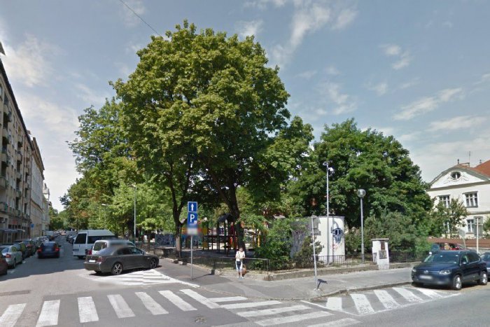 Ilustračný obrázok k článku Staré Mesto odstráni nebezpečné stromy na Jakubovom námestí