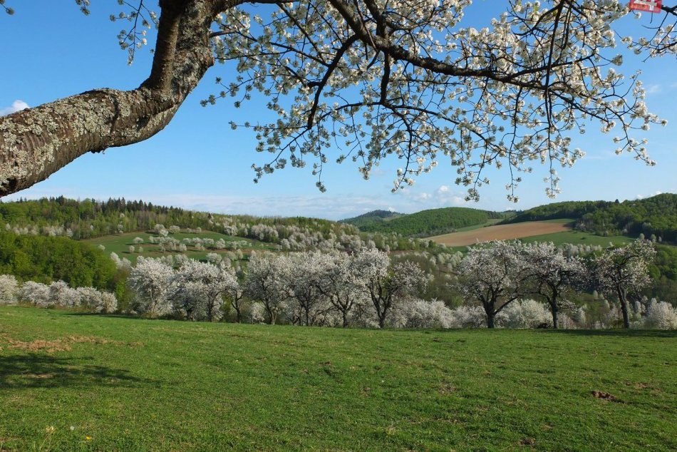 Ilustračný obrázok k článku Raj pre fotografov aj zamilovaných v dedinke neďaleko Rožňavy:  FOTO ako dôkaz