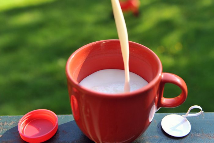 Ilustračný obrázok k článku Trápi vás laktózová intolerancia? RADY odborníka, ako sa cítiť lepšie