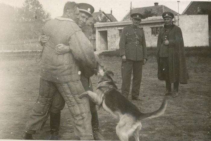 Ilustračný obrázok k článku Spoznajte príbeh Alta z Nitry: Mali pred ním rešpekt, figurantom musel byť pán