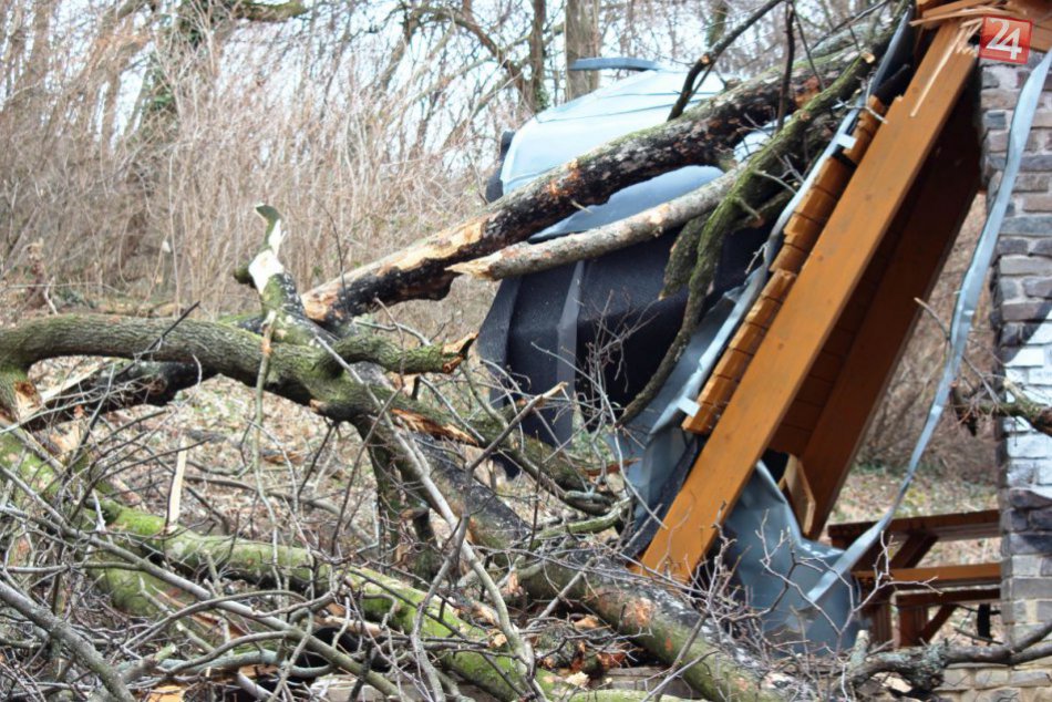 Ilustračný obrázok k článku FOTO: Spadnuté stromy narobili paseku. Zničili prístrešok pri Svoradovom prameni