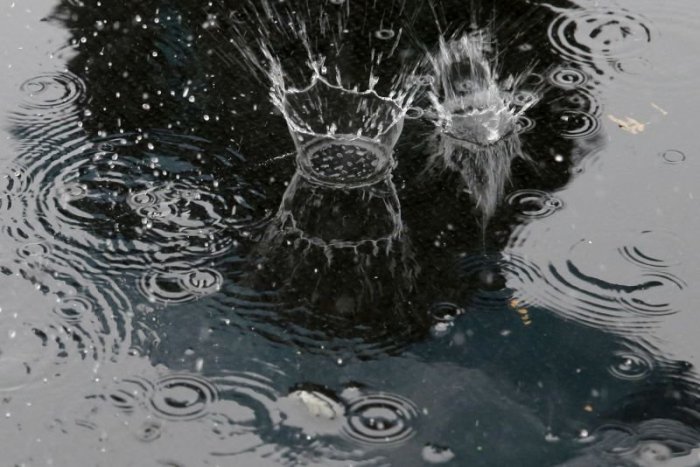 Ilustračný obrázok k článku RANNÁ ŠTVORKA: Koľko je v marci rosy, toľko je v máji mrazu