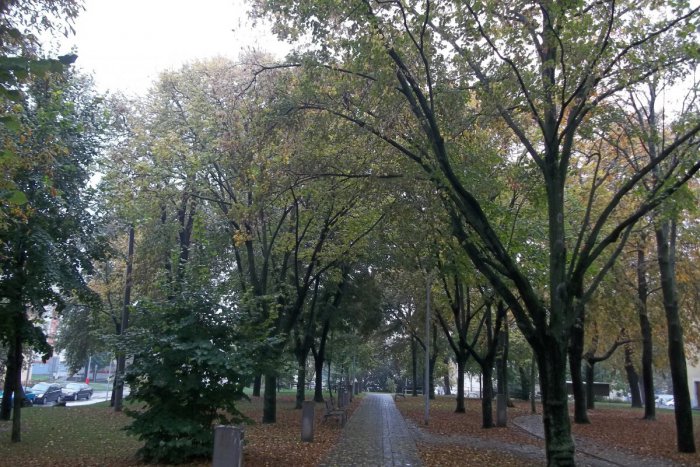 Ilustračný obrázok k článku Mesto prispeje na kultúru: O dotáciu môžete požiadať do konca marca