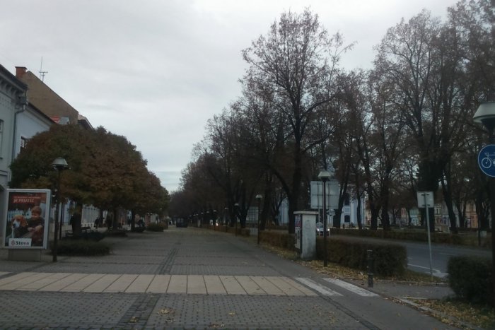 Ilustračný obrázok k článku Lukáš zo Spišskej sa podelil o zábery zo svojej záhrady: Hneď vás chytí jarná nálada!