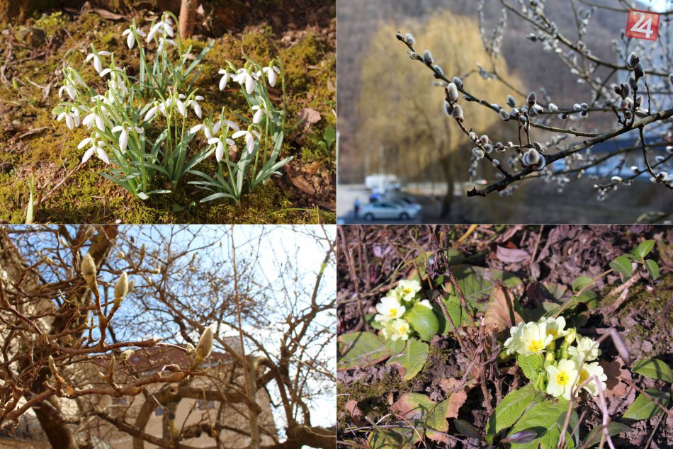 Ilustračný obrázok k článku FOTO: Jarná nádhera, ktorá zahreje pri srdci. Bystrica kvitne a pučí do krásy