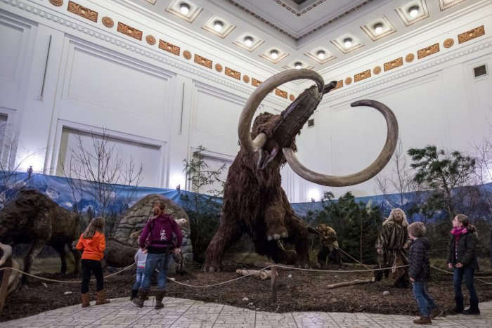 Ilustračný obrázok k článku Zájdite si každú prvú nedeľu v mesiaci do múzeí zadarmo