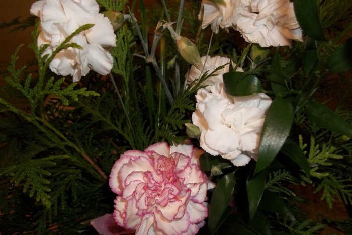 Ilustračný obrázok k článku Oslava Medzinárodného dňa žien: Ako si ho uctili šalianski muži?