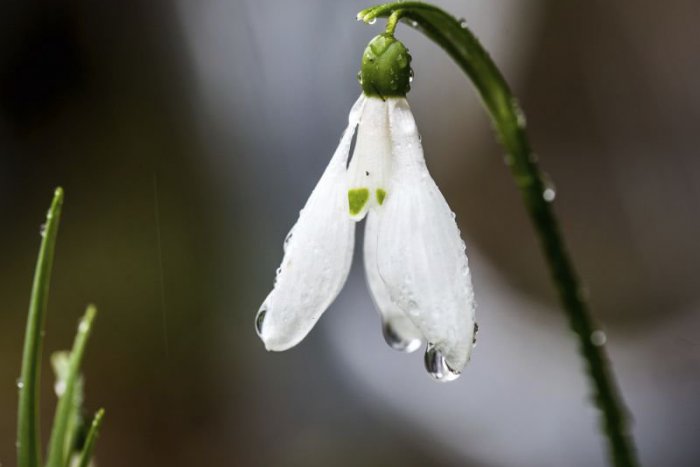 Ilustračný obrázok k článku RANNÁ ŠTVORKA: Pred nami je o niečo chladnejší a zamračený víkend
