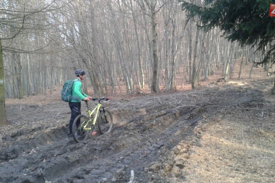 Ilustračný obrázok k článku Opravia v miestnych lesoch z európskych peňazí niekoľko ciest?