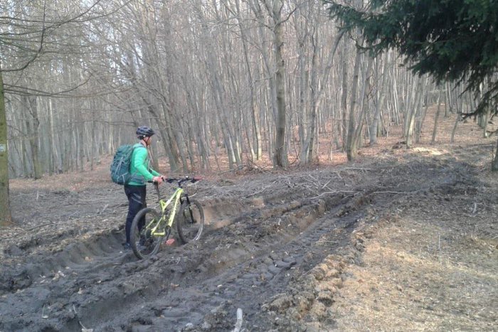 Ilustračný obrázok k článku Lesná cesta na Malinskom vrchu v Karpatoch je už opravená