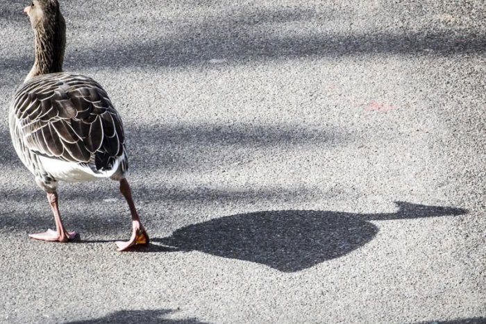 Ilustračný obrázok k článku RANNÁ ŠTVORKA: Záver víkendu bude zamračený, niekde aj spŕchne