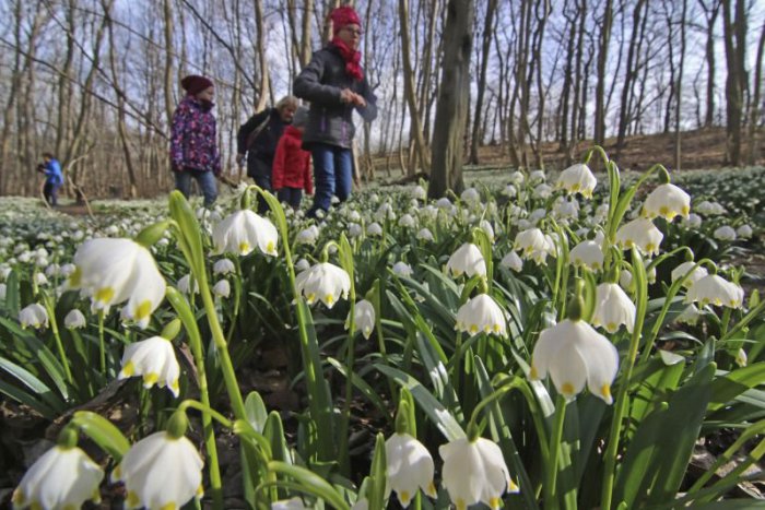 Ilustračný obrázok k článku RANNÁ ŠTVORKA: Nový pracovný týždeň začína oteplením