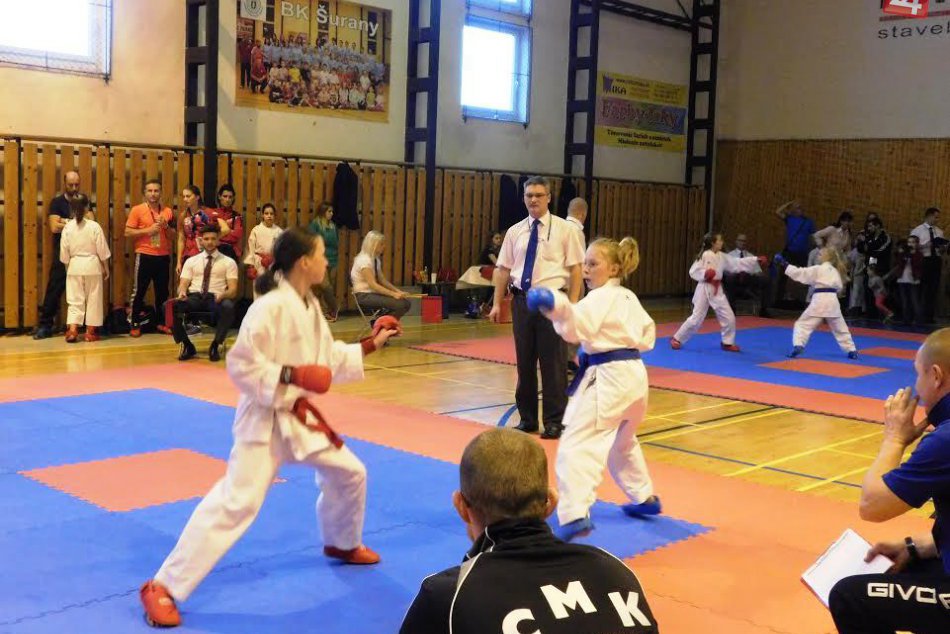 Ilustračný obrázok k článku Shinanisti bodovali v pohári: Šurany priniesli Popradčanom cenné kovy