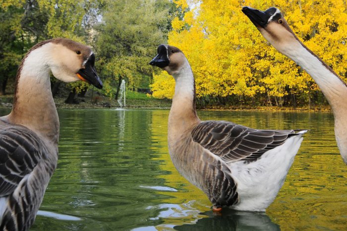 Ilustračný obrázok k článku RANNÁ ŠTVORKA: Jarné počasie nás neopustí, meniny oslavuje Svetlana