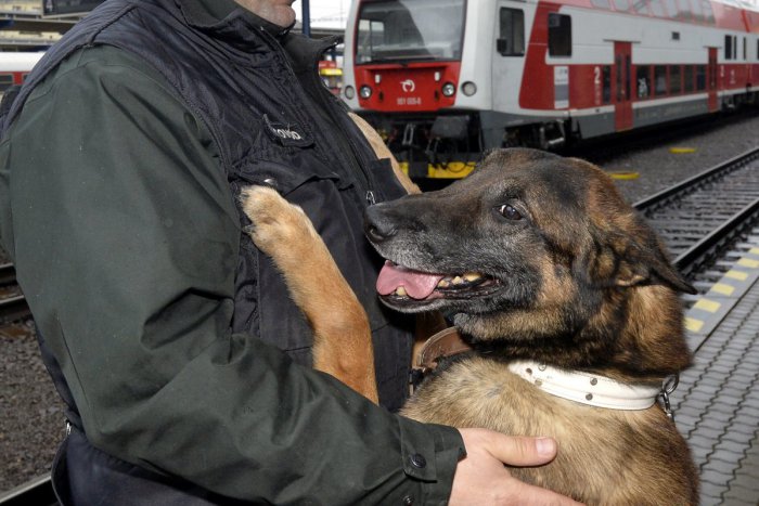 Ilustračný obrázok k článku Polícia v akcii: Na železniciach zistila 104 priestupkov