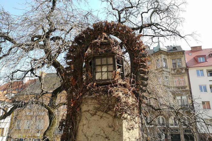 Ilustračný obrázok k článku Budú ešte niekedy svietiť historické lampáše na Rudnayovom námestí?