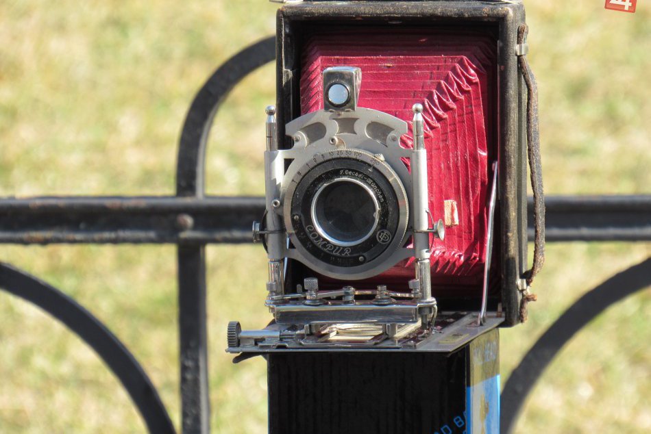 Ilustračný obrázok k článku Vygúlite na ne oči, ďalšie vás rozosmejú: Burza v Prešove púta pohľady, FOTO