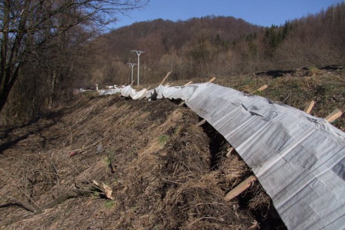 Ilustračný obrázok k článku Záchranná akcia žiab pri Rožňave štartuje: Koľkým pomohli v minulom roku?