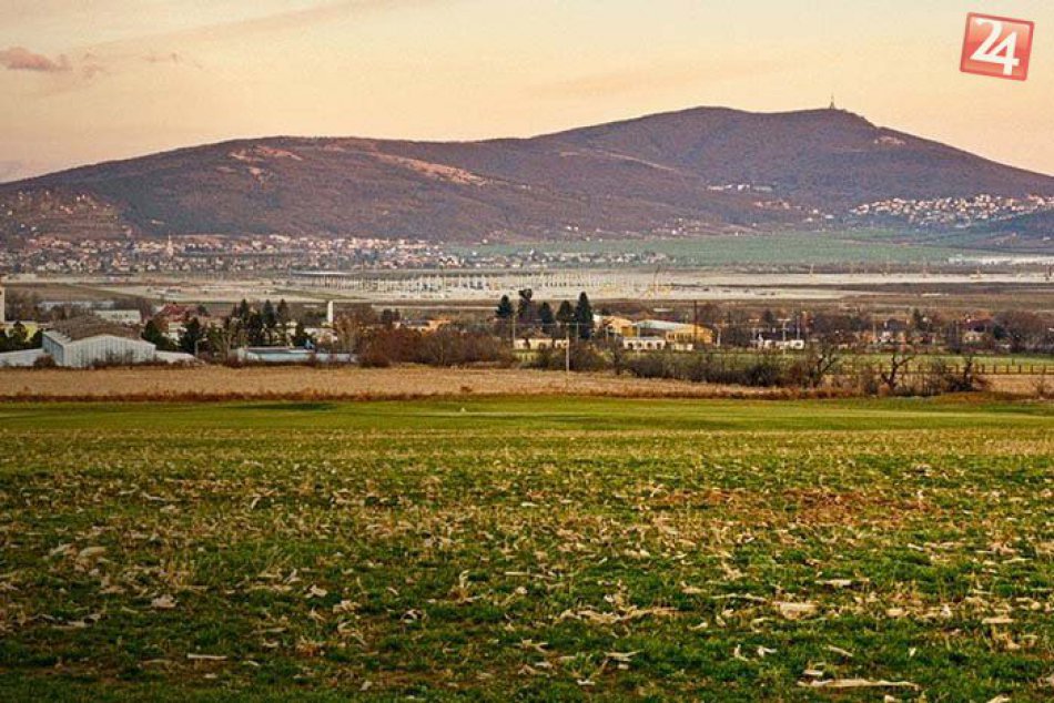 Ilustračný obrázok k článku Unikátny projekt plný zelene: Aha, čo vyrástlo len kúsok od Nitry!