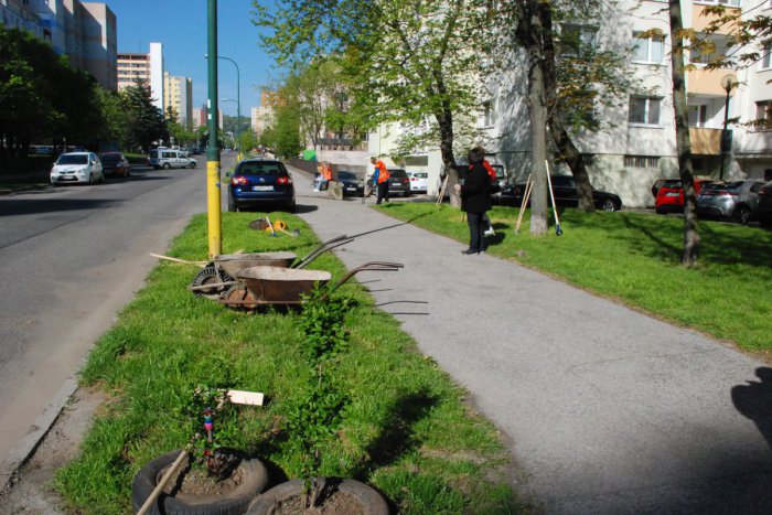 Ilustračný obrázok k článku V Dúbravke sa chystá veľké upratovanie. Zapoja sa aj školy