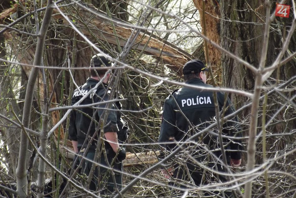 Ilustračný obrázok k článku Pátracia akcia pri Turčianskych Tepliciach: Mladík (19) nevedel ako sa dostal do lesa