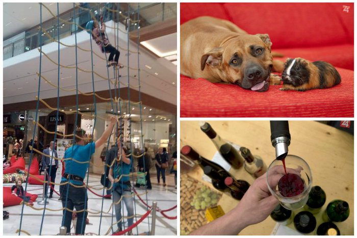 Ilustračný obrázok k článku TIPY NA VÍKEND: Vychutnajte si lahodné víno, zabavte sa v meste a rozhýbte svoje telo!