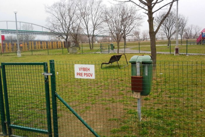 Ilustračný obrázok k článku Hlohovskí psíčkari, viete o nich? Nové pravidlá, ktoré schválil mestský parlament