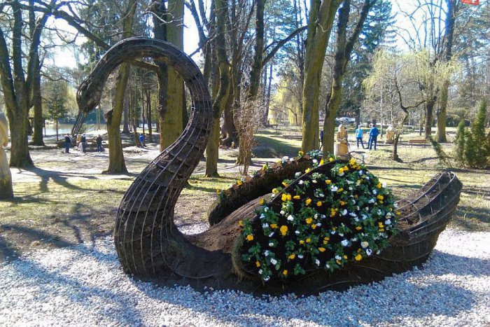 Ilustračný obrázok k článku FOTO: Pýcha lučeneckého parku má byť ešte krajšia. Labuť prejde omladzovacou kúrou