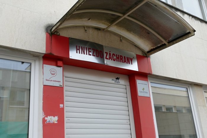 Ilustračný obrázok k článku Bábätko v košickom hniezde záchrany: Zarka je už rukách lekárov