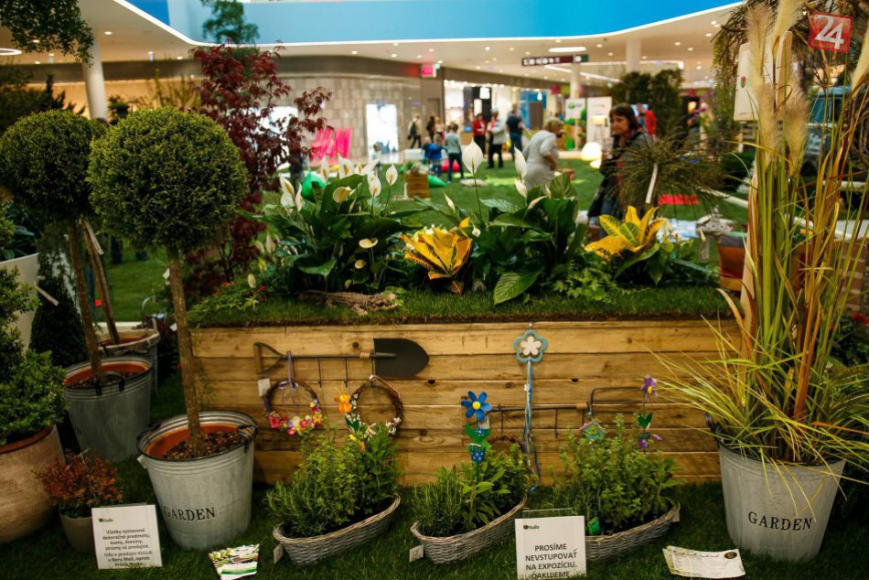 Ilustračný obrázok k článku Záhradou plnou farieb a vôní preletí tisícka motýľov z celého sveta