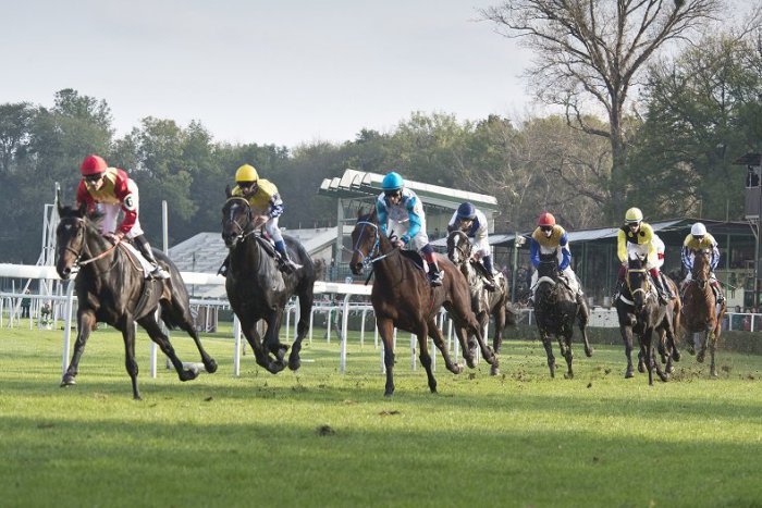 Ilustračný obrázok k článku Sezóna odštartuje Jarnou cenou Petržalky. Môžeme sa tešiť aj na ďalšie dostihové lahôdky