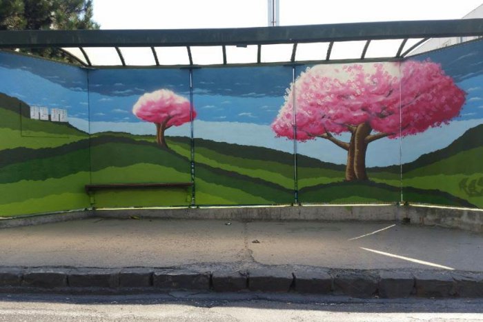 Ilustračný obrázok k článku V Dúbravke na zastávke kvitnú čerešne