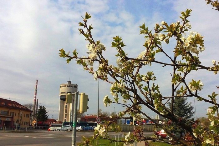 Ilustračný obrázok k článku Humenné je razom krajšie: Jarné obrázky z nášho mesta, ktoré potešia všetky oči