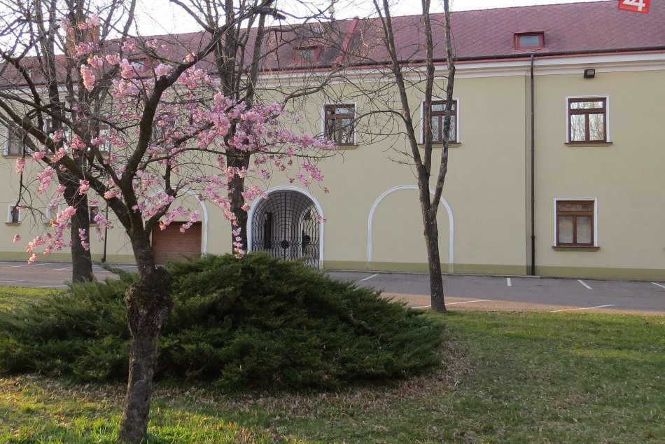 Ilustračný obrázok k článku Michalovce sú razom krajšie: Jarné obrázky z nášho mesta, ktoré potešia všetky oči