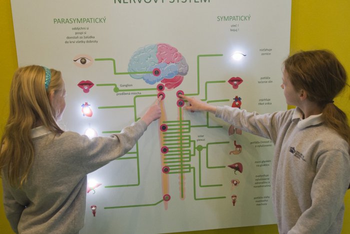 Ilustračný obrázok k článku V Bibiane sa môžete hravou formou dozvedieť viac o ľudských emóciach