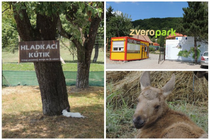 Ilustračný obrázok k článku Tip na výlet: Miesto, kde deti odložia mobily a spriatelia sa so zvieratkami