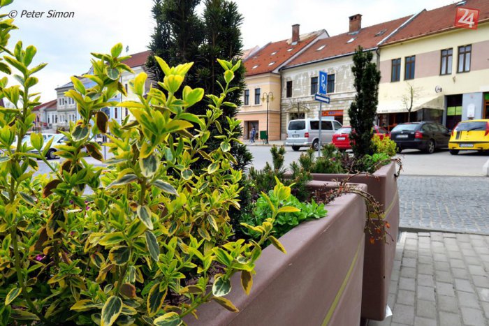 Ilustračný obrázok k článku Pozrite si, ako rozkvitlo naše mesto: FOTKY, ktoré vám pohladia dušu