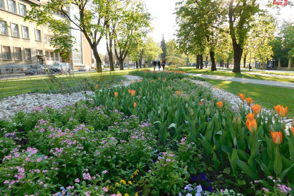 Ilustračný obrázok k článku Víkend v Trnave a okolí? Potešiť môžu aj takéto akcie