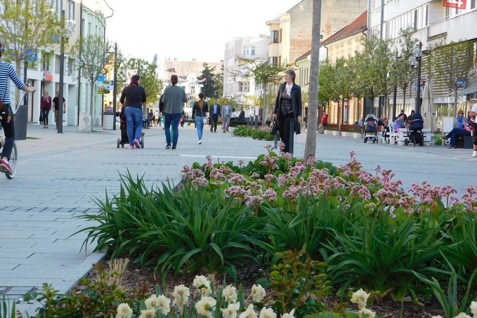 Ilustračný obrázok k článku Čo sa bude diať cez víkend v Trnave? Výber najzaujímavejších akcií