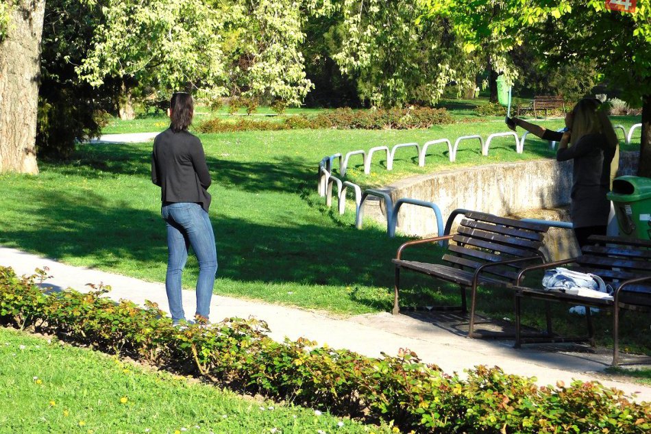 Ilustračný obrázok k článku Trnava sa môže radovať: Získala titul Európske mesto stromov 2017!