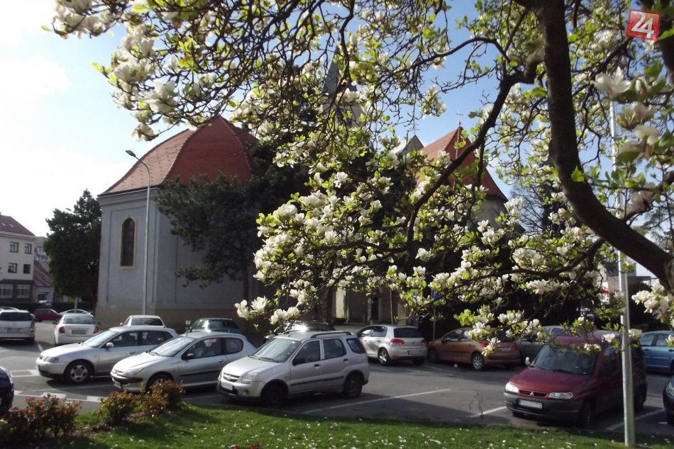 Ilustračný obrázok k článku Hlohovec je razom krajší: Jarné obrázky z nášho mesta, ktoré potešia všetky oči