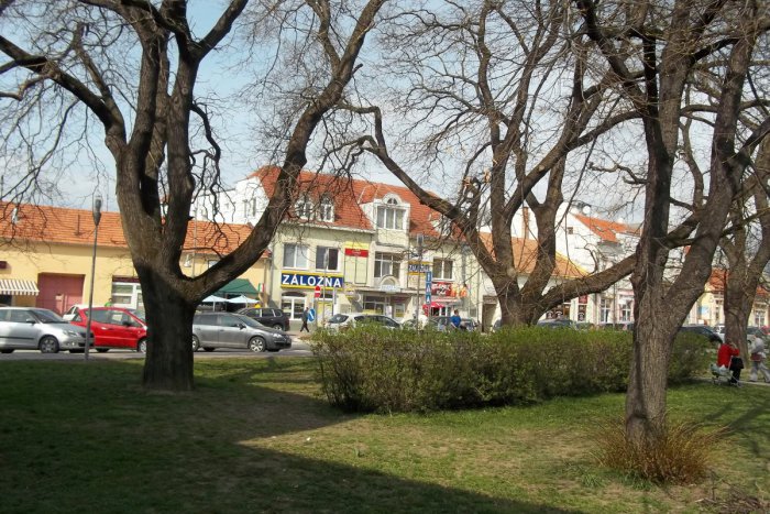 Ilustračný obrázok k článku Blížia sa sviatky: Viete, kde a dokedy stihnete nakúpiť?