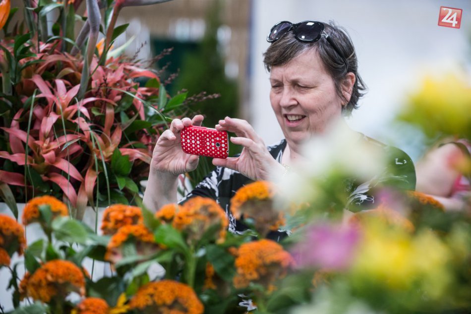 Ilustračný obrázok k článku Bratislavská Incheba rozkvitne: Učarujú vám tisícky kvetov spoza hraníc aj zo Slovenska