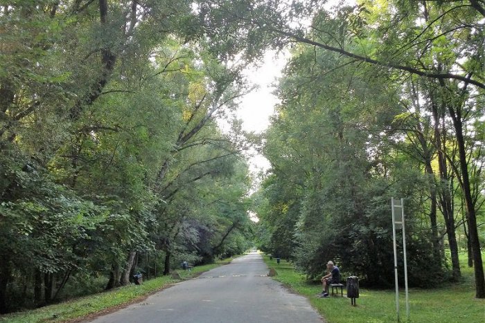 Ilustračný obrázok k článku Linka envirošpión pomohla odhaliť 22 prehreškov proti životnému prostrediu