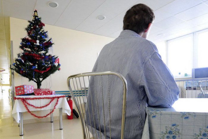 Ilustračný obrázok k článku Nemocnice dostanú živé vianočné stromčeky: Do lesnej škôlky vysadili 150 kusov