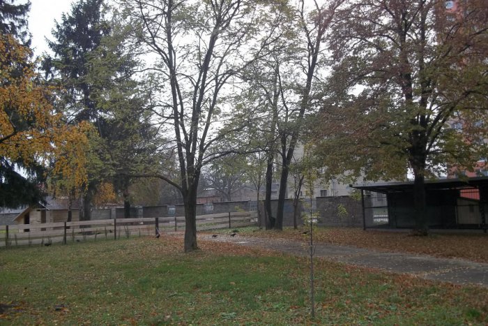 Ilustračný obrázok k článku V Šali budú upratovať brehy Váhu: Čaká ich aj dobrý guláš s prekvapením