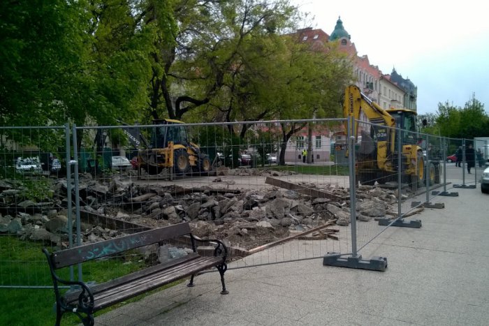 Ilustračný obrázok k článku Lúčna zmes v Landererovom parku nevzišla, na ploche sa darí burine