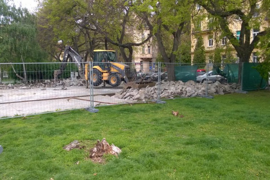 Ilustračný obrázok k článku Staré Mesto opäť vysadí lúčnu zmes v Landererovom parku. Bude druhý pokus úspešnejší?