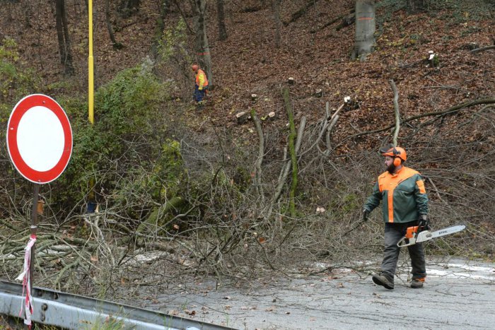 Ilustračný obrázok k článku Kuriózna nehoda pri Nitre: Na idúce auto spadol zlomený strom
